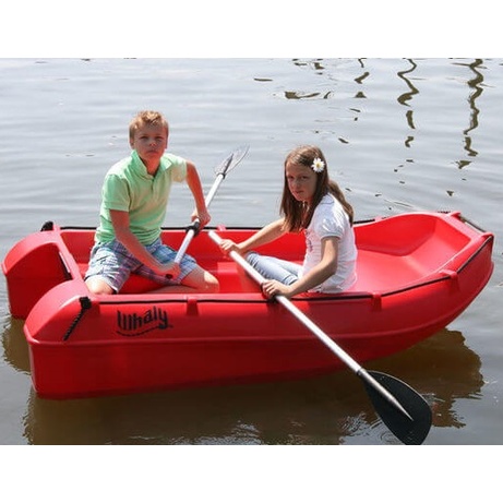 Моторная полиэтиленовая лодка Whaly 210