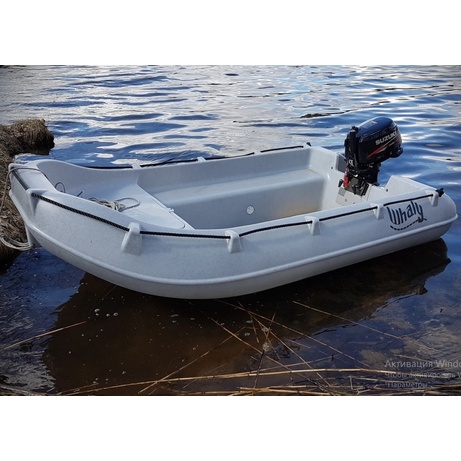 Моторний човен поліетиленовий Whaly 270 LF