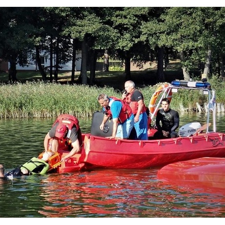 Моторная лодка полиэтиленовая Whaly 455 LF Моторная лодка полиэтиленовая Whaly 455 LF