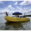 Моторний човен поліетиленовий Whaly 435 LF