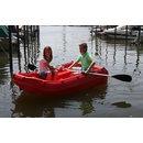 Моторная полиэтиленовая лодка Whaly 210