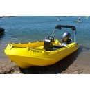 Моторная полиэтиленовая лодка Whaly 435 R Professional
