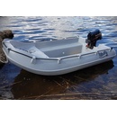 Моторная лодка полиэтиленовая Whaly 270 LF Моторная лодка полиэтиленовая Whaly 270 LF