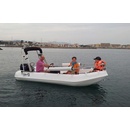 Моторная полиэтиленовая лодка Whaly 435 R Professional