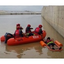 Моторная лодка полиэтиленовая Whaly 310 LF Моторная лодка полиэтиленовая Whaly 310 LF